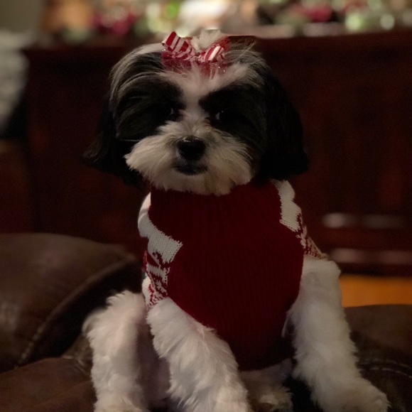 Meet your Posher, Alana - Picture 1 of 1